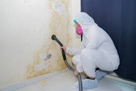 Biohazard Mold Removal in Howe, TX